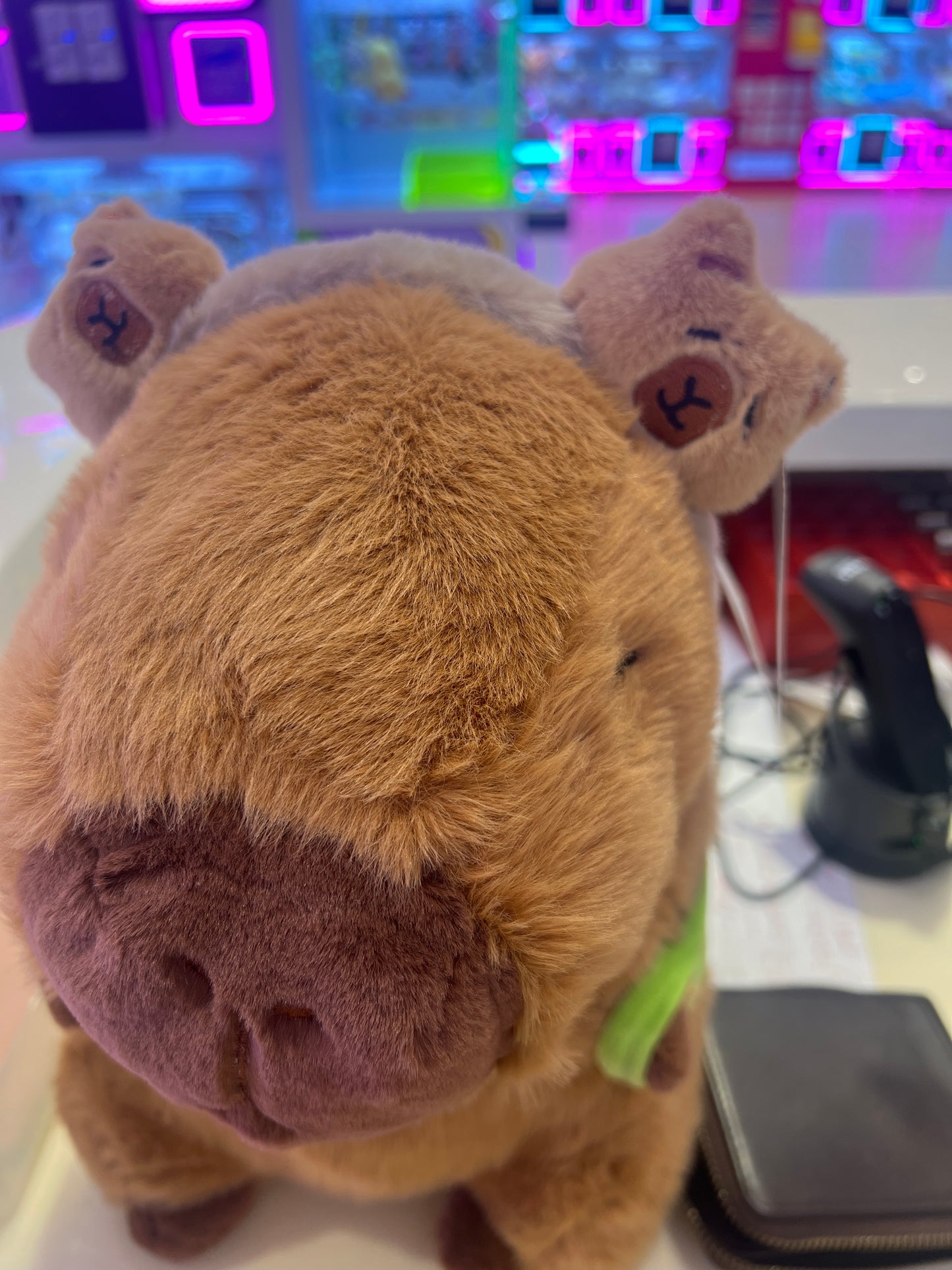 Capybara hairband