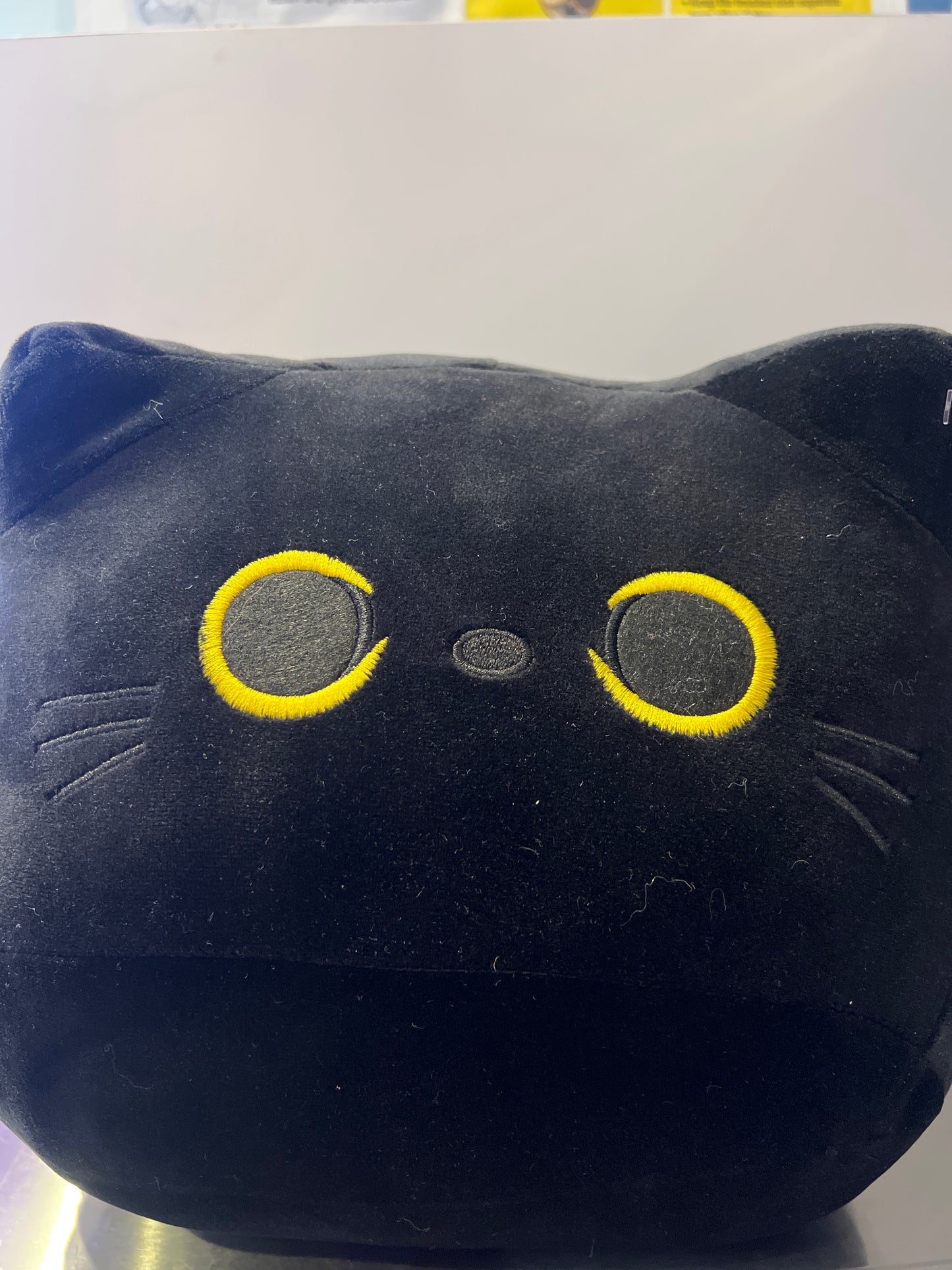 Black cat