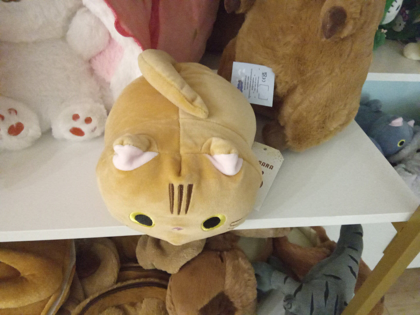 Cat pillow 8inch