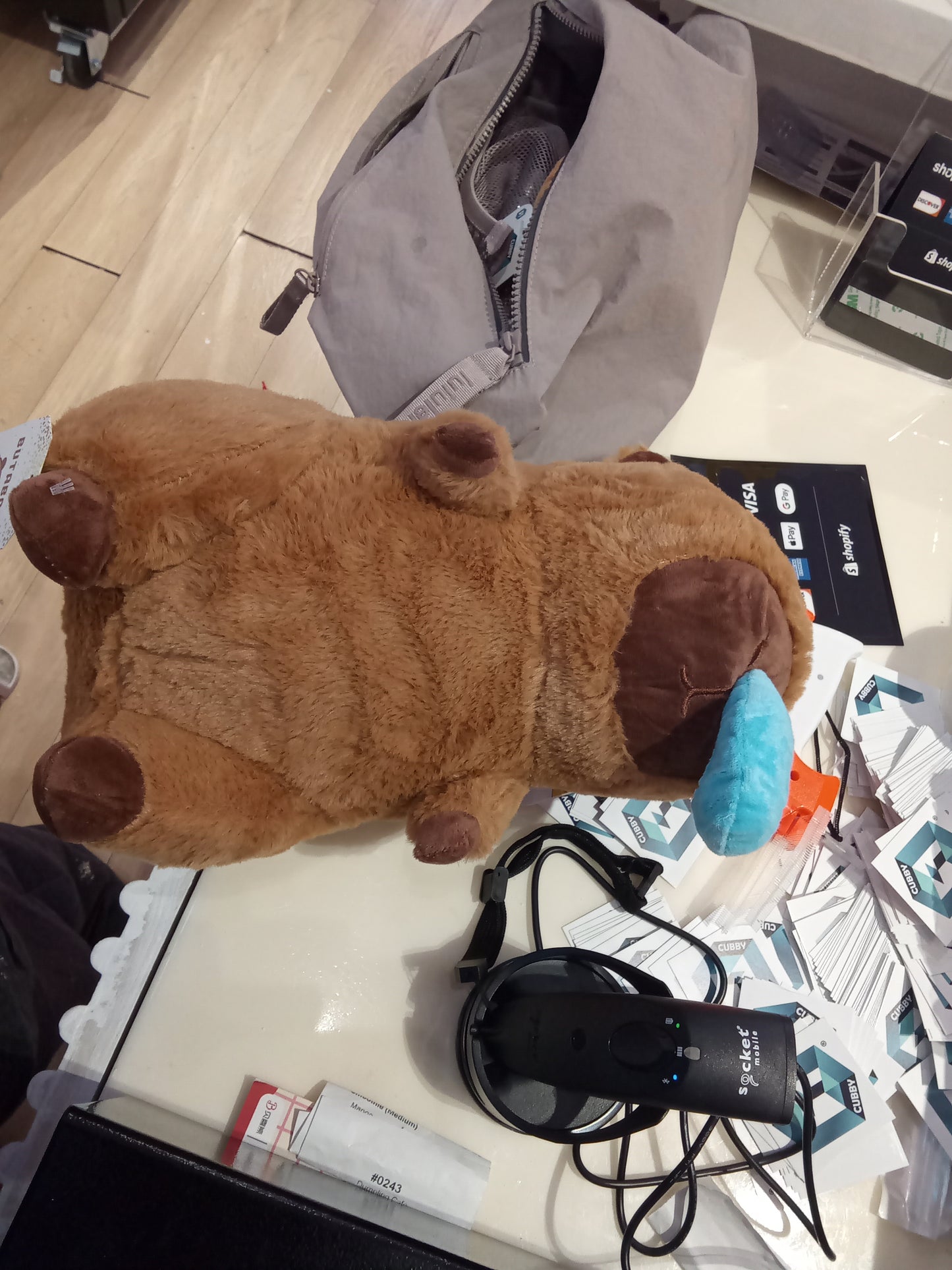 Capybara blue nose 14inch